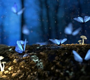 All Natural Italian-Style Chicken Meatballs